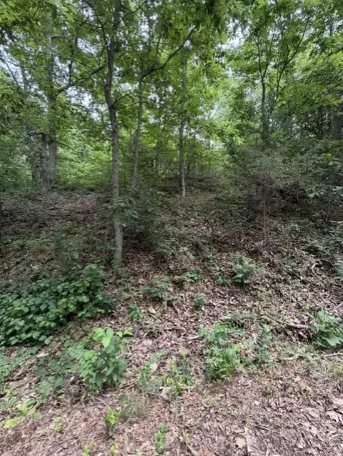 lot32 Block 4 Islay Dr, Bella Vista, AR 72715