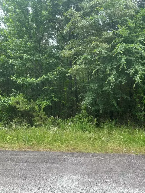 000 Wildcat Holw, Dardanelle, AR 72834