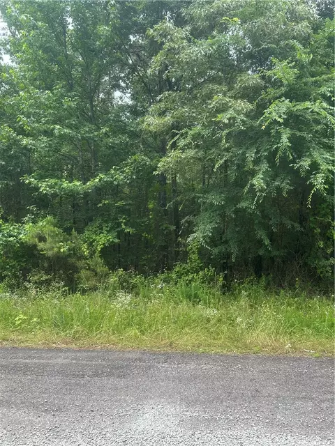 000 Wildcat Holw, Dardanelle, AR 72834