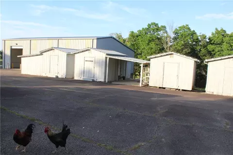 Exterior - 158 Ragon Rd, Tilly, AR 72679 photo 9 of 25