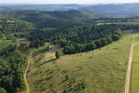 Madison Cr 1425, Eureka Springs, AR 72632