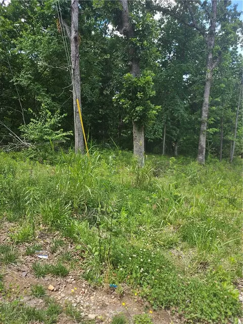 lot13 Moniave Ln, Bella Vista, AR 72715