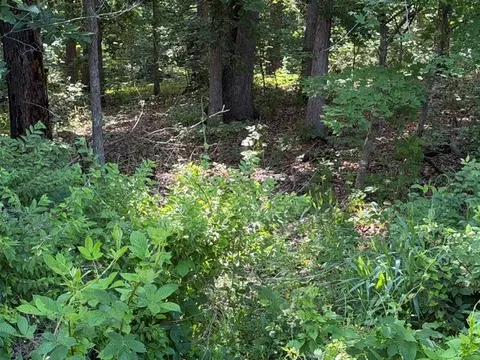 tbd Drayton Cir, Bella Vista, AR 72715