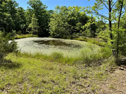Other - 523 Madison 3181 Rd, Witter, AR 72776 photo 8 of 9
