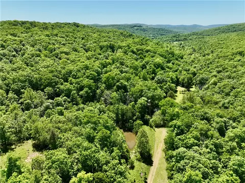 Other - 523 Madison 3181 Rd, Witter, AR 72776 photo 9 of 9