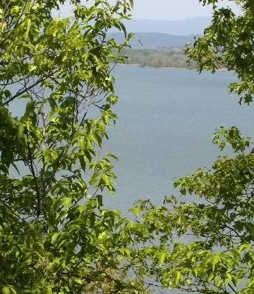 lot S 18 19 Piney Bay Vlg, London, AR 72847