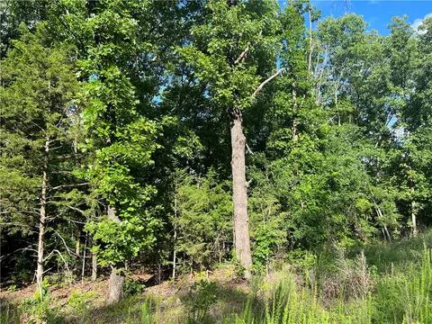Grassy Gap Road, Harrison, AR 72601 photo 5
