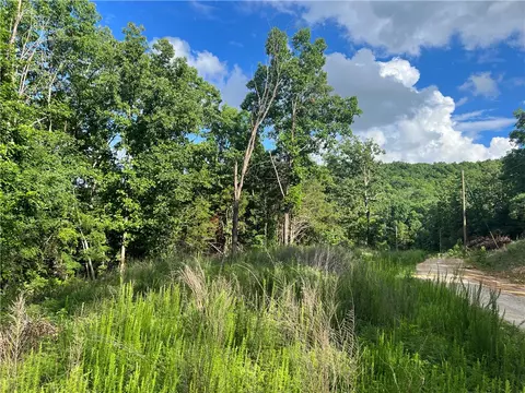 Grassy Gap Road, Harrison, AR 72601 photo 6