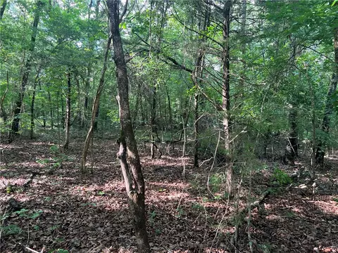 Grassy Gap Road, Harrison, AR 72601 photo 2