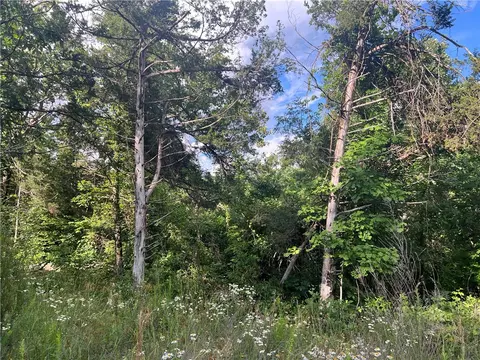 Grassy Gap Road, Harrison, AR 72601 photo 8