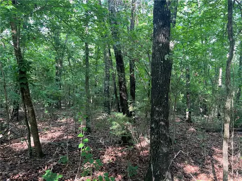 Grassy Gap Road, Harrison, AR 72601