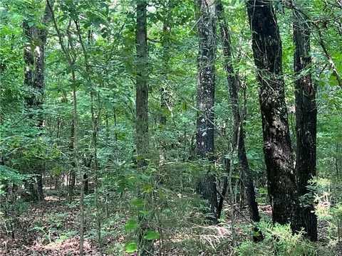 Grassy Gap Road, Harrison, AR 72601 photo 7