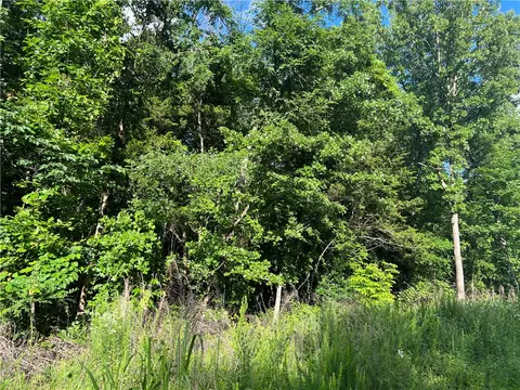Grassy Gap Road, Harrison, AR 72601 photo 3