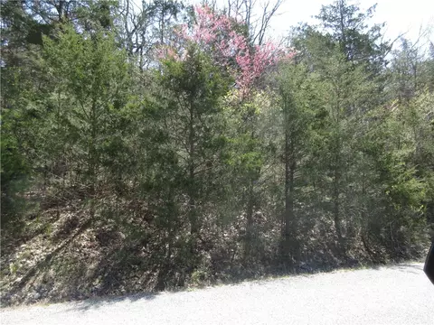 lot6 Hillside Dr, Holiday Island, AR 72631