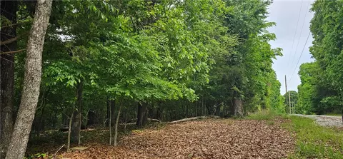14215 Frisco Springs Rd, Lowell, AR 72745