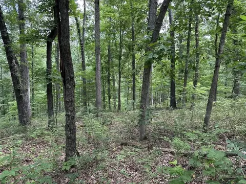 lot7 Eccleston Ln, Bella Vista, AR 72714