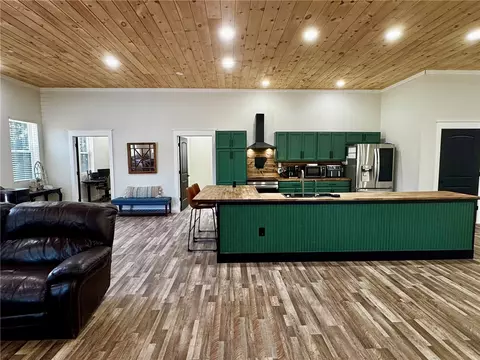 100 Odom Point Rd, Bee Branch, AR 72013 photo 7