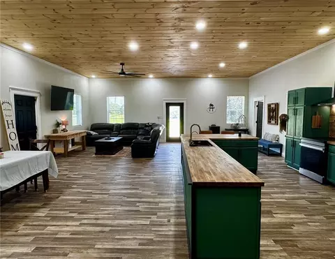 100 Odom Point Rd, Bee Branch, AR 72013 photo 9