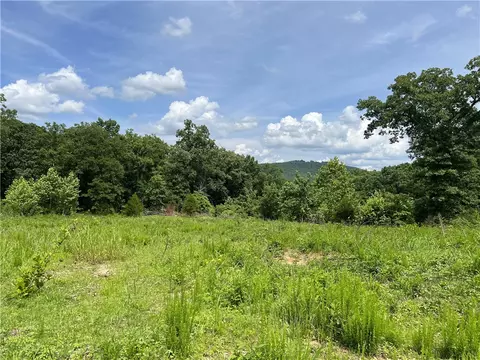 Exterior - 263 Nc 3951, Marble Falls, AR 72648 photo 13 of 15