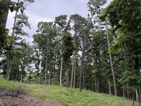 17575 Sweeps Ln, Rogers, AR 72756 photo 2