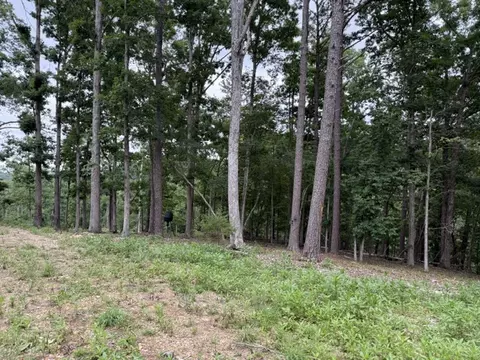 17575 Sweeps Ln, Rogers, AR 72756 photo 3