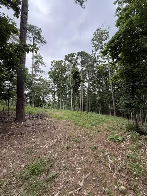 17575 Sweeps Ln, Rogers, AR 72756