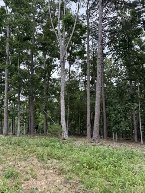 17575 Sweeps Ln, Rogers, AR 72756 photo 4