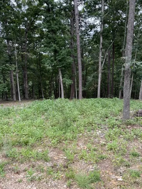 17575 Sweeps Ln, Rogers, AR 72756 photo 5