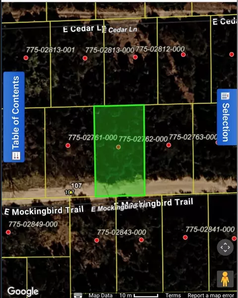 tbd E Mockingbird Trl, Lead Hill, AR 72644