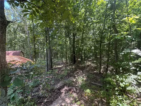 lot59 Posy Mountain Dr, Garfield, AR 72732