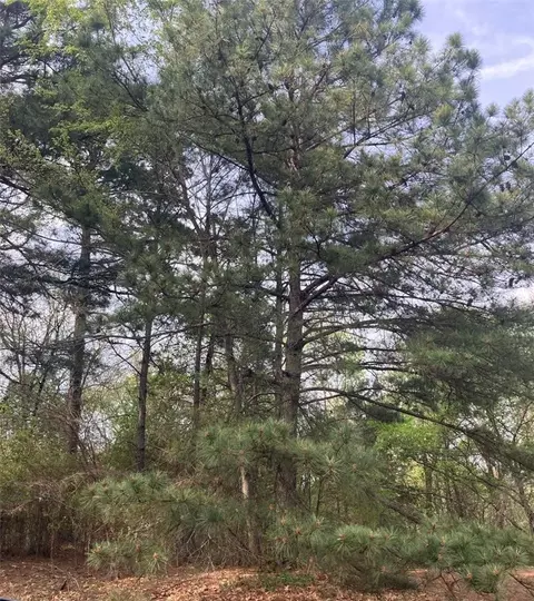 tbd Mcdonald Blvd, London, AR 72847