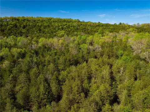 401 Cr 246, Berryville, AR 72616