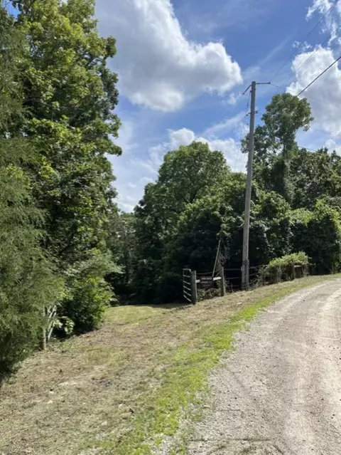 17 Marion County 8126, Flippin, AR 72634