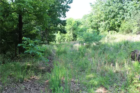 Blue Mountain Rd, Prairie Grove, AR 72753