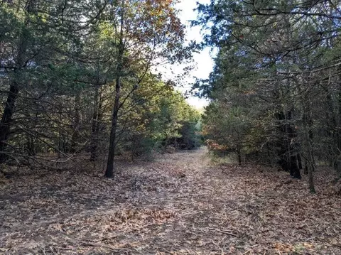 Pine Tree, Prairie Grove, AR 72758