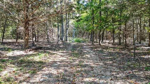 Pine Tree, Prairie Grove, AR 72758