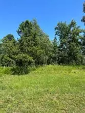 28 Autumn Ct, Dover, AR 72837
