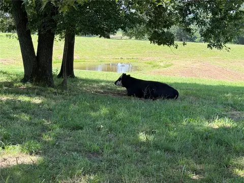 Other - 302 Abney Ave, Harrison, AR 72601 photo 20 of 24