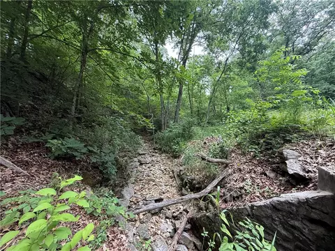tbd Highway Dd, Seligman, MO 65745 photo 3