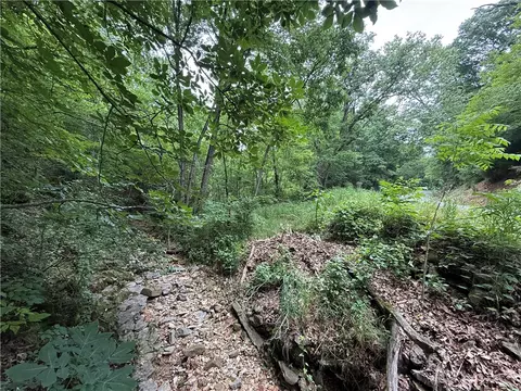 tbd Highway Dd, Seligman, MO 65745 photo 7