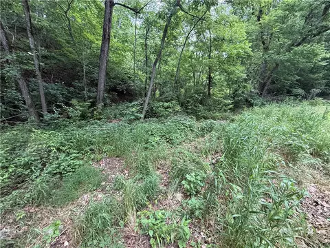 tbd Highway Dd, Seligman, MO 65745 photo 2