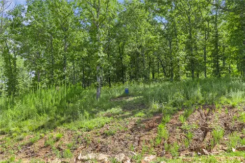 lot22 Restore Rdg, Harrison, AR 72601 photo 3