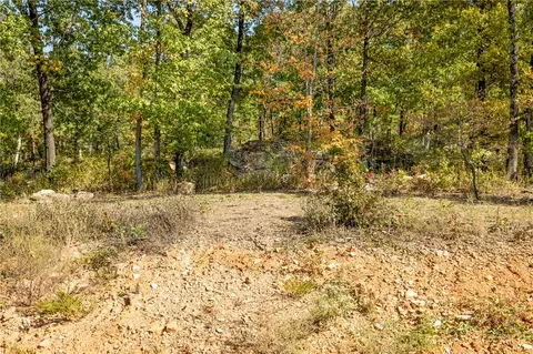 lot60 Restore Rdg, Harrison, AR 72601 photo 3