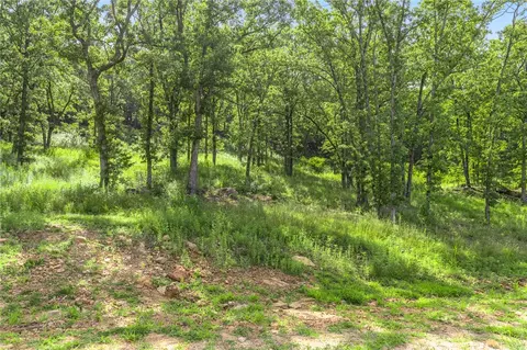 lot62 Restore Rdg, Harrison, AR 72601 photo 4