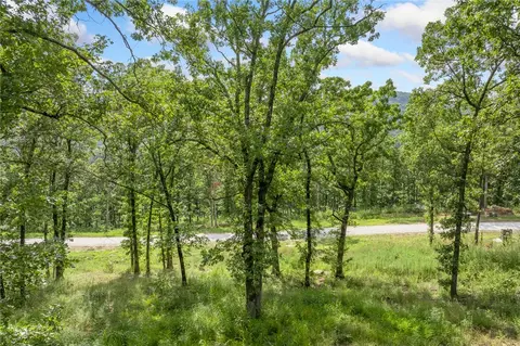 lot62 Restore Rdg, Harrison, AR 72601 photo 5