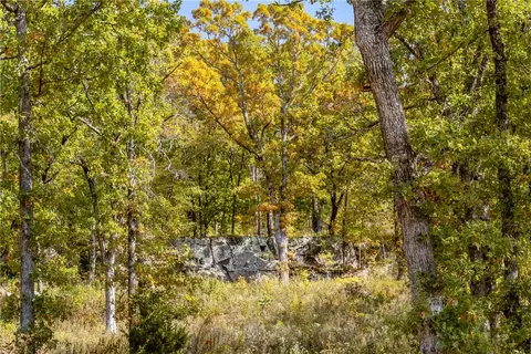 lot62 Restore Rdg, Harrison, AR 72601 photo 10
