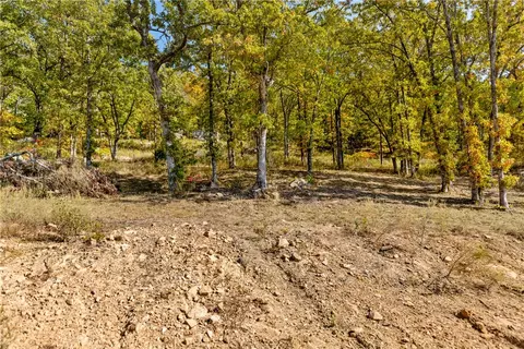 lot62 Restore Rdg, Harrison, AR 72601 photo 9