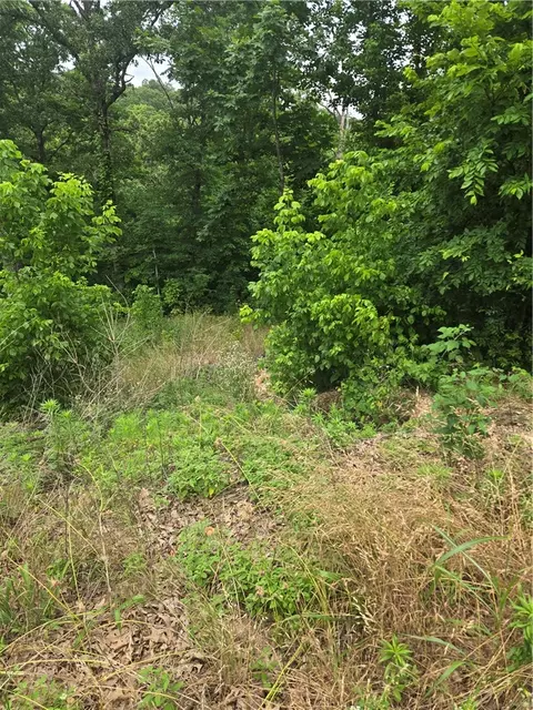 tbd Enfield Dr, Bella Vista, AR 72715