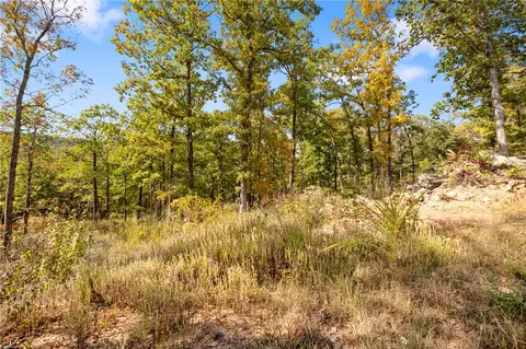 lot67 Restore Rdg, Harrison, AR 72601 photo 22