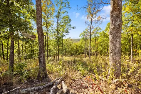 lot67 Restore Rdg, Harrison, AR 72601 photo 21